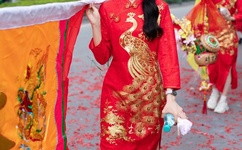 麻豆传媒国产之光32部